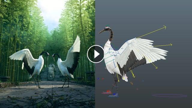 Realistic 3d birds animation