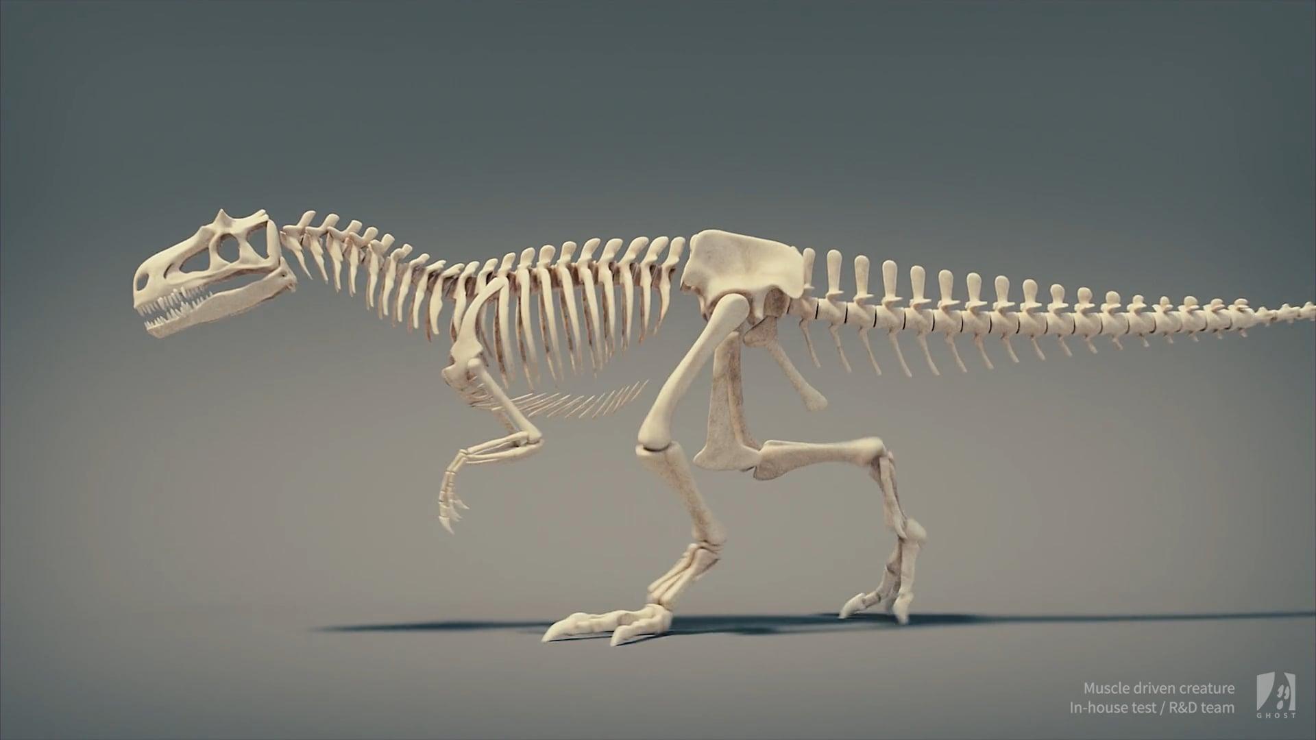 Muscle-driven creature | in-house test