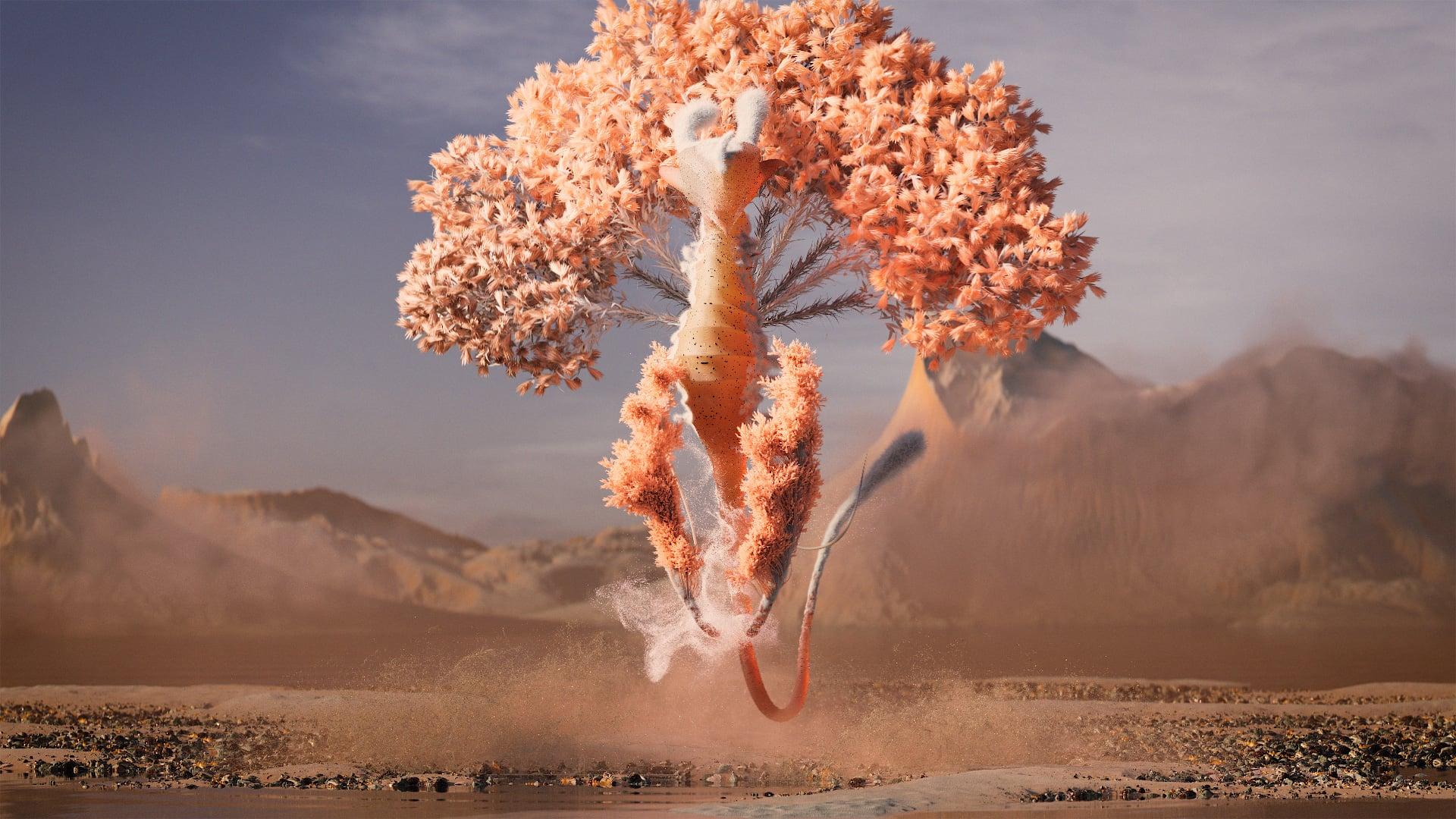 Motion Graphics