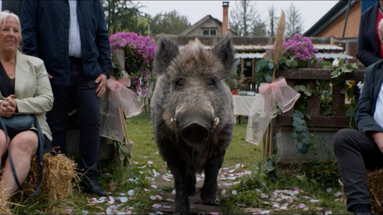 MPC - Open Season 2 VFX Breakdown