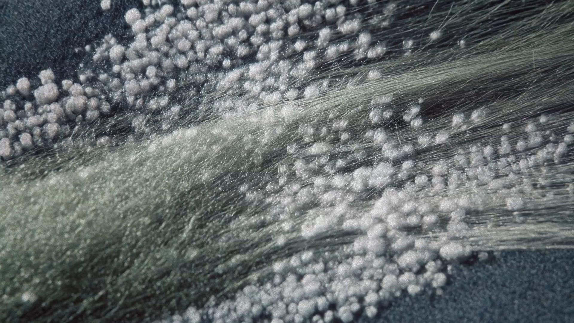 CG Adv