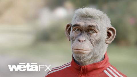 Hair Grooming on Better Man | Wētā FX