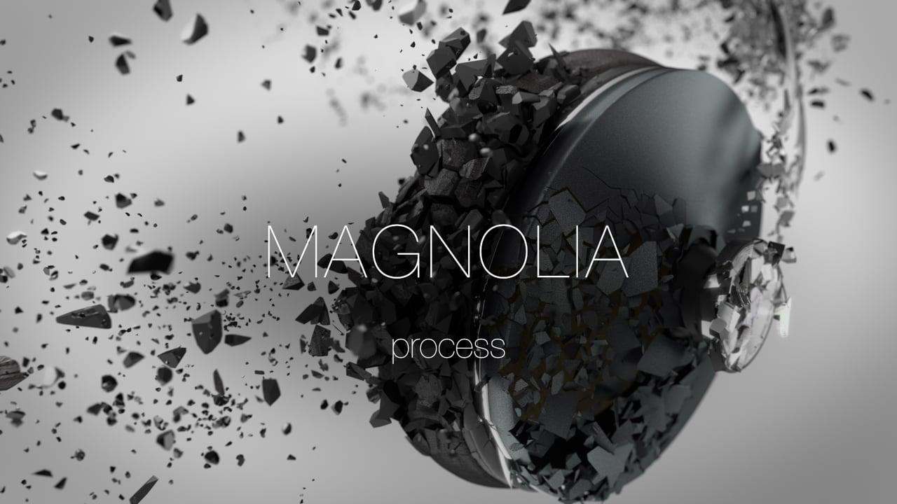 Magnolia: Process
